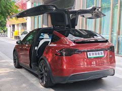 Tesla Model X Tri-Motor All-Wheel Drive Plaid - ფოტო 17