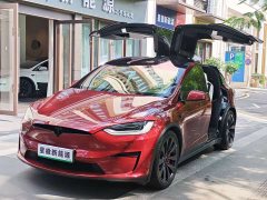 Tesla Model X Tri-Motor All-Wheel Drive Plaid - ფოტო 2