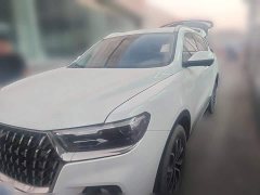 Haval H6 2023 National Trend Edition 1.5T Automatic Urban Version - ფოტო 1