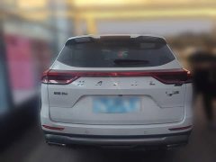Haval H6 2023 National Trend Edition 1.5T Automatic Urban Version - ფოტო 3