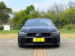 Trumpchi Leopard 400T Automatic R MAX - ფოტო 3
