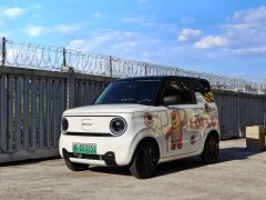Geely Panda Mini 200km Endurance Edition - ფოტო 1
