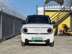 Geely Panda Mini 200km Endurance Edition - ფოტო 2