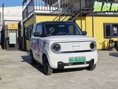 Geely Panda Mini 200km Endurance Edition - ფოტო 3