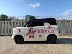 Geely Panda Mini 200km Endurance Edition - ფოტო 4