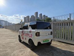 Geely Panda Mini 200km Endurance Edition - ფოტო 5