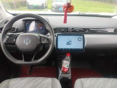 Leapmotor Leapo T03 403 Comfort Edition - ფოტო 12