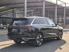 Great Wall WEY Blue Mountain 2023 Four-Wheel Drive Extended Range Version - ფოტო 11