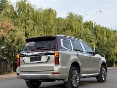 Tank 500 3.0T Special Edition 5-Seater - ფოტო 9