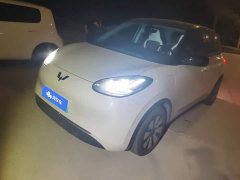 Wuling Binguo 333km Joy Edition - ფოტო 1