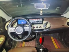 Wuling Binguo 333km Joy Edition - ფოტო 12