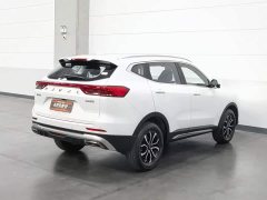 Haval H6 National Trend Edition 1.5T Automatic Urban Version - ფოტო 2