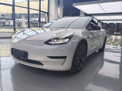 Tesla Model 3 Standard Range RWD Upgrade - ფოტო 1