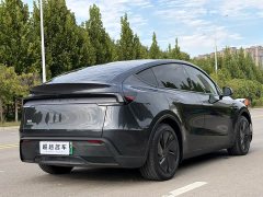 Tesla Model Y Rear-Wheel Drive - ფოტო 17