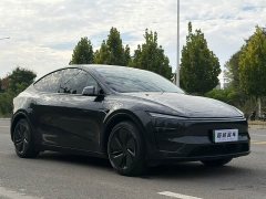 Tesla Model Y Rear-Wheel Drive - ფოტო 3