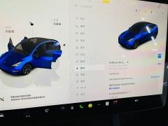 Tesla Model Y 2023 Long Range All-Wheel Drive - ფოტო 12