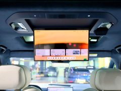 Zeekr 009 2024 Six-Seat Executive AWD 108kWh - ფოტო 20