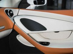McLaren GT 4.0T Standard - ფოტო 14