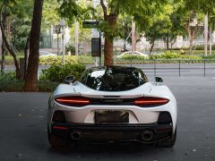 McLaren GT 4.0T Standard - ფოტო 3