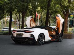 McLaren GT 4.0T Standard - ფოტო 5