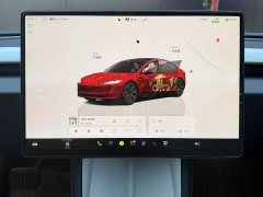 Tesla Model 3 2023 Rear-Wheel Drive - ფოტო 8
