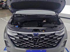Hyundai Costar 380TGDi Smart Love Flagship TOP Premium - ფოტო 10