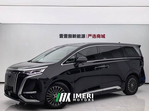 2024 Denza D9 EV 600 AWD Luxury - car from China