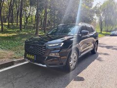 Ford Lingrui 2023 EcoBoost 170 Platinum Edition - ფოტო 1