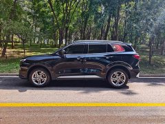 Ford Lingrui 2023 EcoBoost 170 Platinum Edition - ფოტო 4
