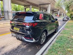 Ford Lingrui 2023 EcoBoost 170 Platinum Edition - ფოტო 5
