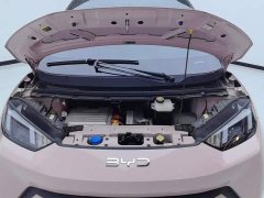 BYD Seagull Glory Edition 405km Flying Edition - ფოტო 10