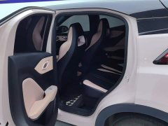 BYD Seagull Glory Edition 405km Flying Edition - ფოტო 11