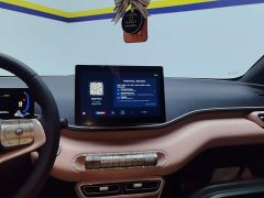 BYD Seagull Glory Edition 405km Flying Edition - ფოტო 13
