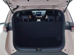 BYD Seagull Glory Edition 405km Flying Edition - ფოტო 4