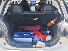 Dongfeng Nano 01 330 Plus Smart - ფოტო 4
