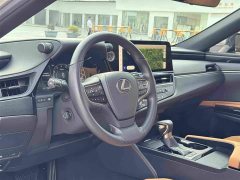 Lexus ES 200 Excellence Edition - ფოტო 10