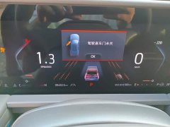 Ford Edge L 2.0T EcoBoost FWD Seven-Seat Luxury - ფოტო 14