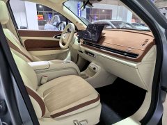 ORA Good Cat 430km Deluxe Edition - ფოტო 20
