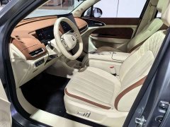 ORA Good Cat 430km Deluxe Edition - ფოტო 4