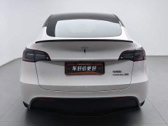 Tesla Model Y Rear-Wheel Drive - ფოტო 4