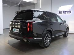 GAC Aion GS8 Pioneer Series 2.0T GDI FWD Luxury Smart Connected Edition 7-Seater - ფოტო 9