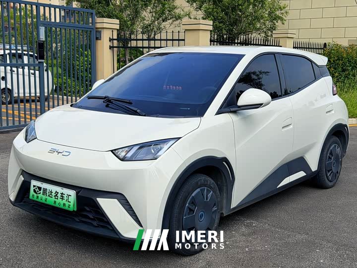 BYD Seagull 2025 305km Vitality Edition - ავტომობილი ჩინეთიდან