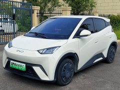 BYD Seagull 2025 305km Vitality Edition - ფოტო 1