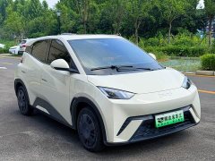 BYD Seagull 2025 305km Vitality Edition - ფოტო 3