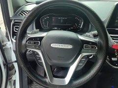 Maxus G20 2021 PLUS 2.0T Petrol Automatic Distinguished Elegance Edition - ფოტო 15
