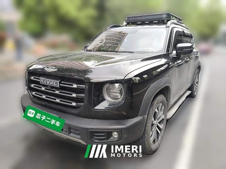 Great Wall Dachshund 1.5T DCT Two-Wheel Drive Border Collie Edition