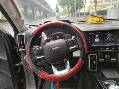 Great Wall Dachshund 2022 1.5T DCT Two-Wheel Drive Border Collie Edition - ფოტო 6