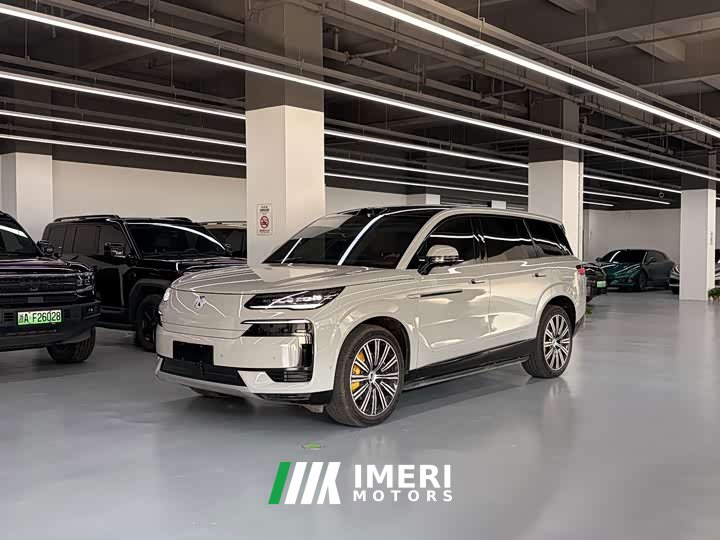 Denza N9 Flagship - ავტომობილი ჩინეთიდან