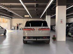 Denza N9 Flagship - ფოტო 13