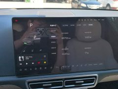 Li Auto L9 Max - ფოტო 14
